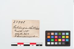 Etiketten zu Perlenkette (NHMW-PRAE-023998)